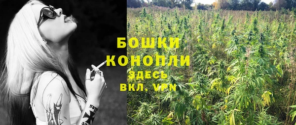 PSILOCYBIN Нефтекумск