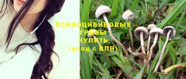 PSILOCYBIN Беломорск