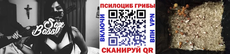Псилоцибиновые грибы Cubensis  Анадырь 